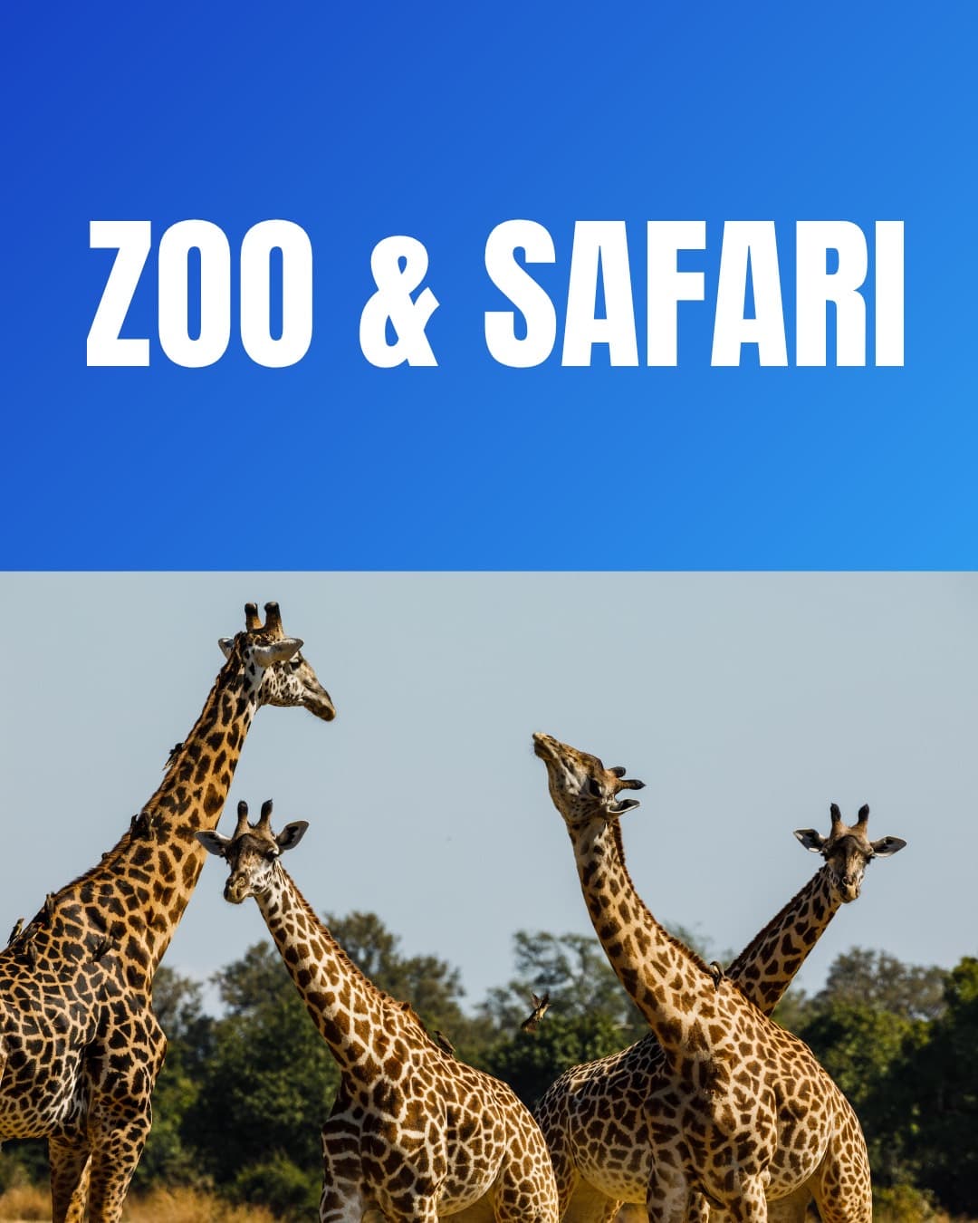 維勒比野生動物園與墨爾本動物園